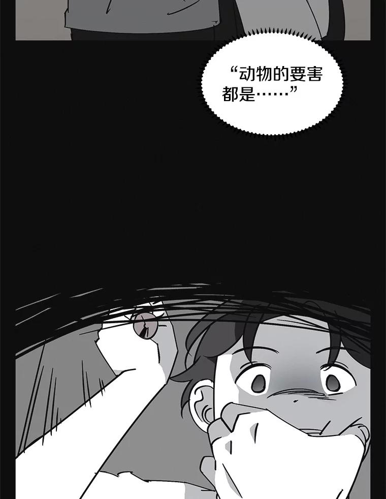 《主妇杀手》137.夜晚的陷阱（6） 第83页