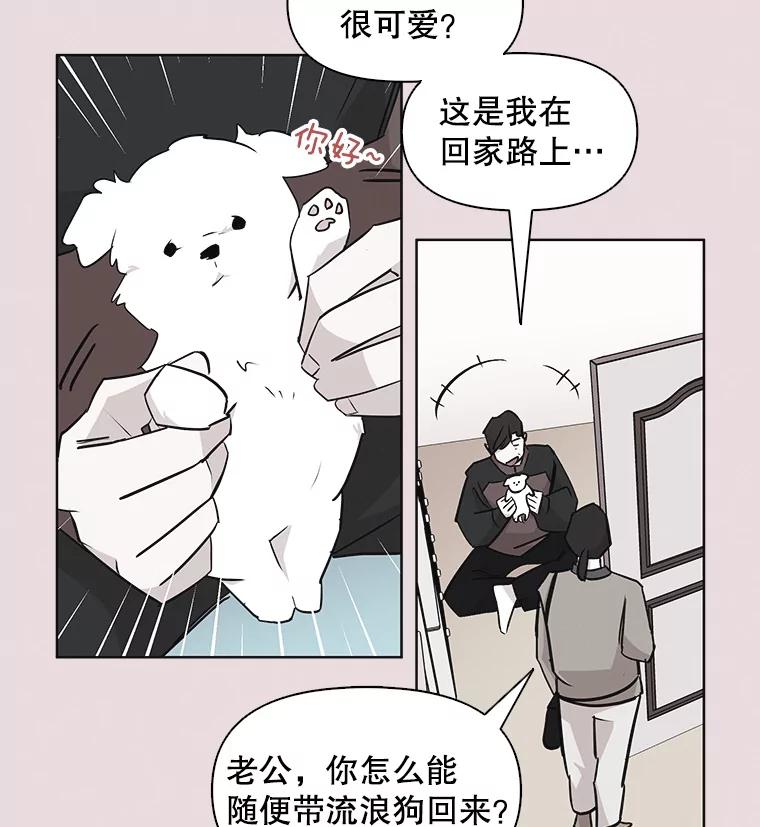 《主妇杀手》34.秘密（4） 第71页