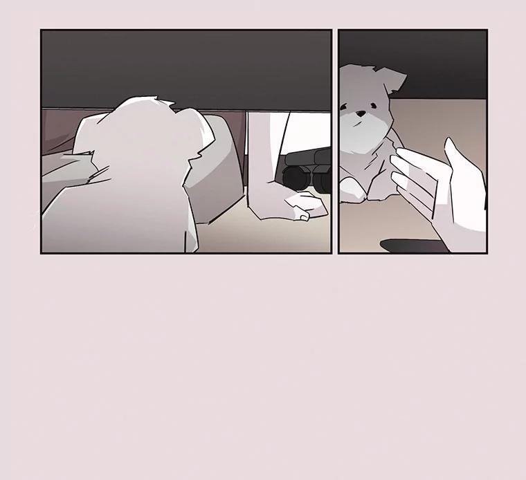 《主妇杀手》35.秘密（5） 第15页