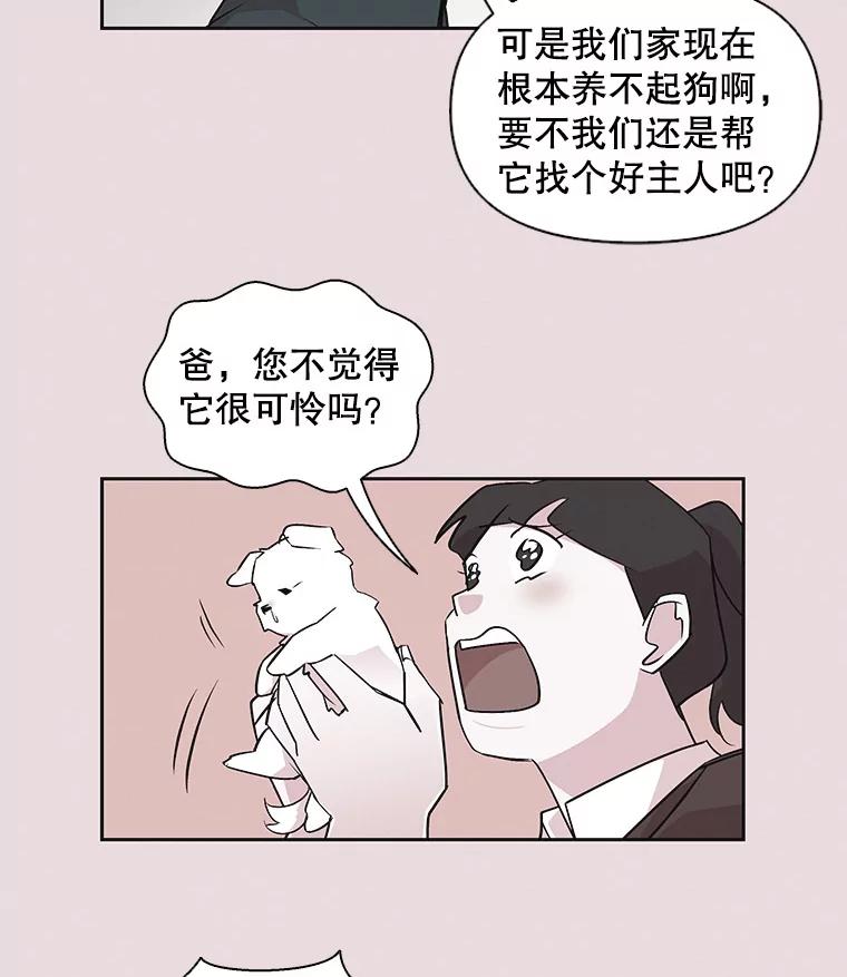 《主妇杀手》37.秘密（7） 第75页