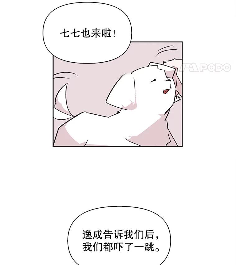 《主妇杀手》37.秘密（7） 第8页