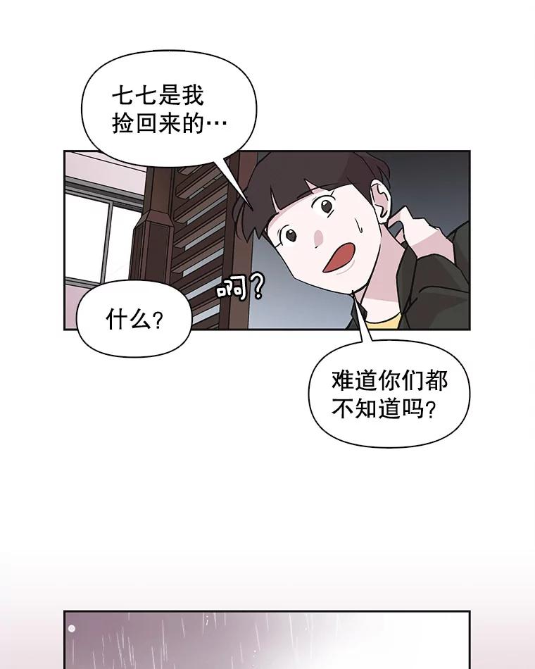 《主妇杀手》37.秘密（7） 第72页