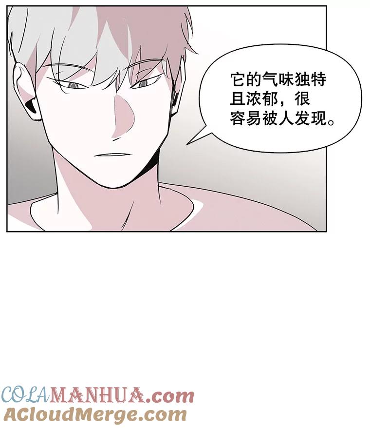 《主妇杀手》4.新员工（1） 第61页