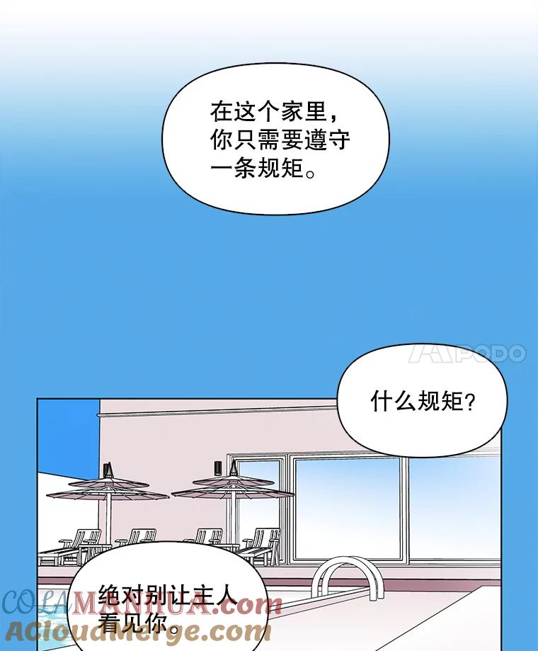 《主妇杀手》64.收留我一晚！（5） 第58页