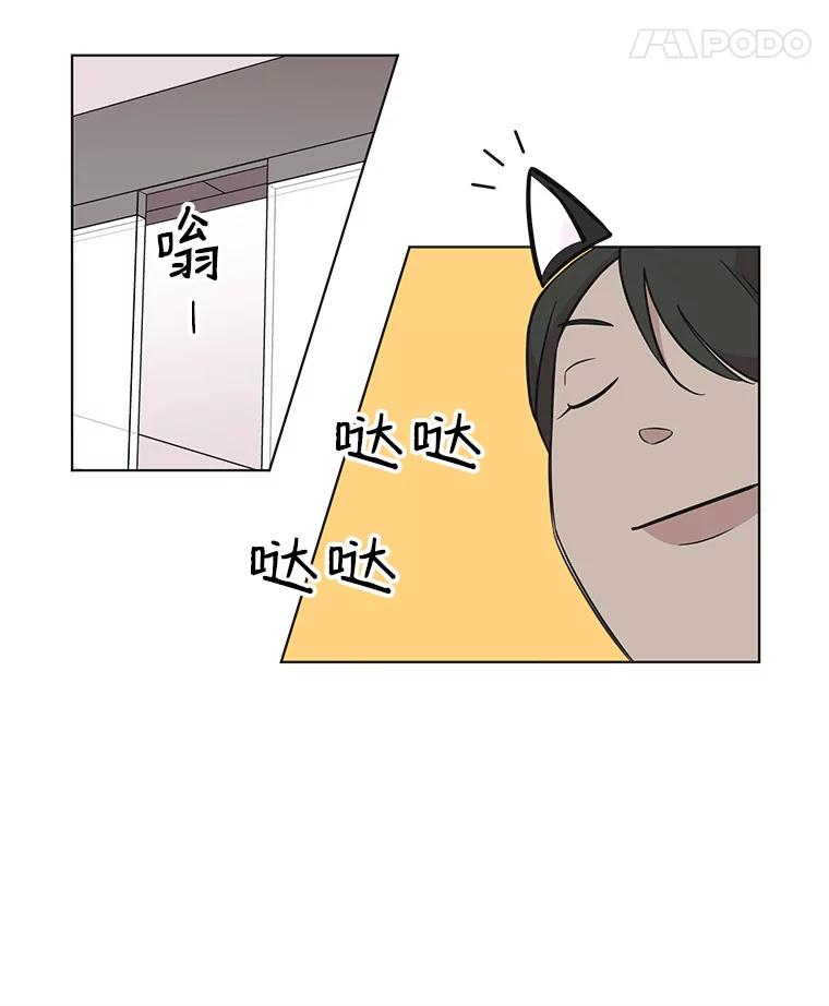 《主妇杀手》72.现场作业（1） 第8页
