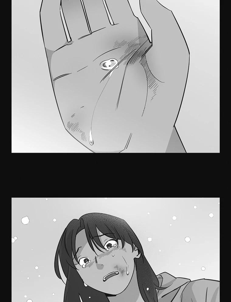 《主妇杀手》74.现场作业（3） 第55页