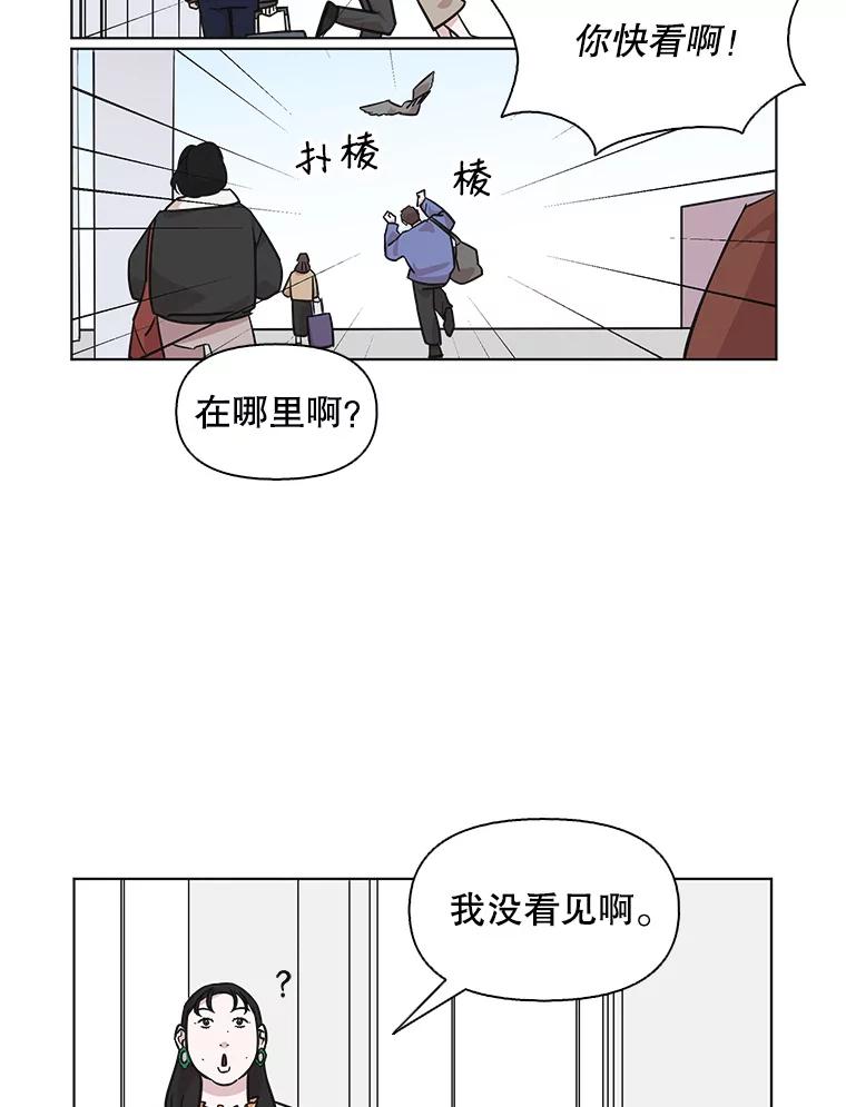 《主妇杀手》78.赏枫（3） 第32页