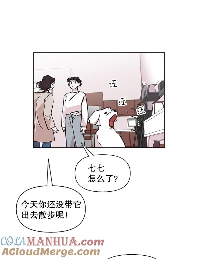 《主妇杀手》79.赏枫（4） 第19页