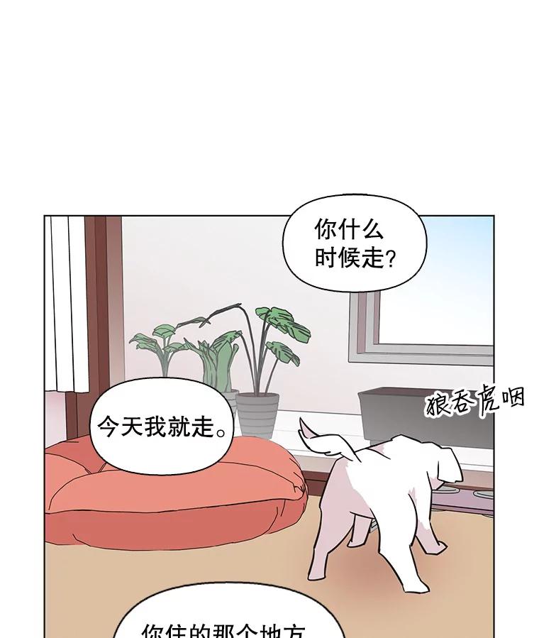 《主妇杀手》79.赏枫（4） 第69页