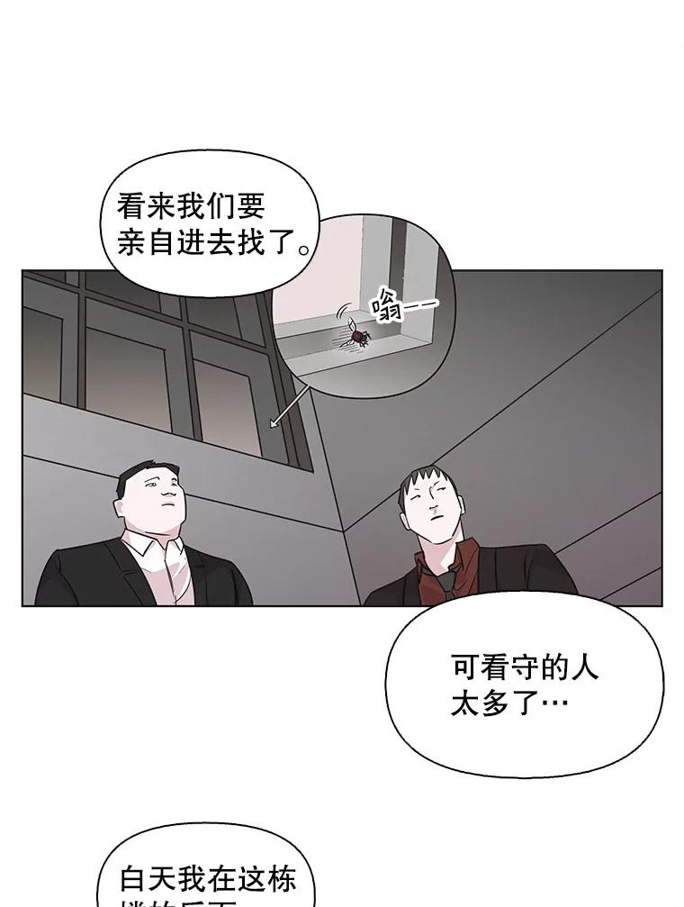 《主妇杀手》83.小兔兔远征队（4） 第63页