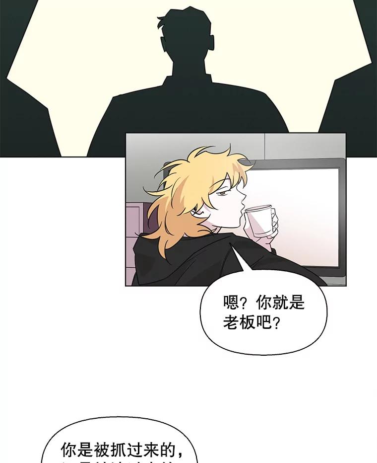 《主妇杀手》84.小兔兔远征队（5） 第53页