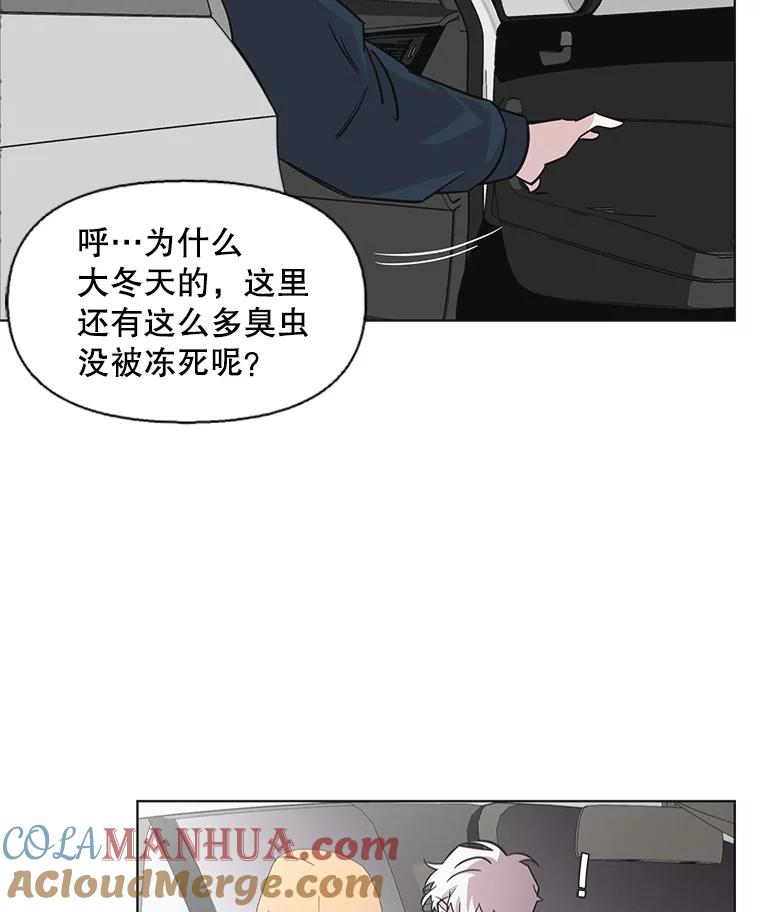 《主妇杀手》84.小兔兔远征队（5） 第37页