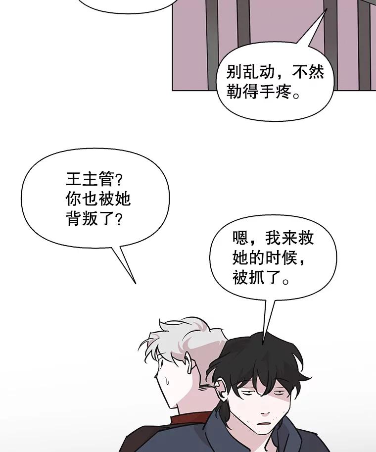 《主妇杀手》85.小兔兔远征队（6） 第53页