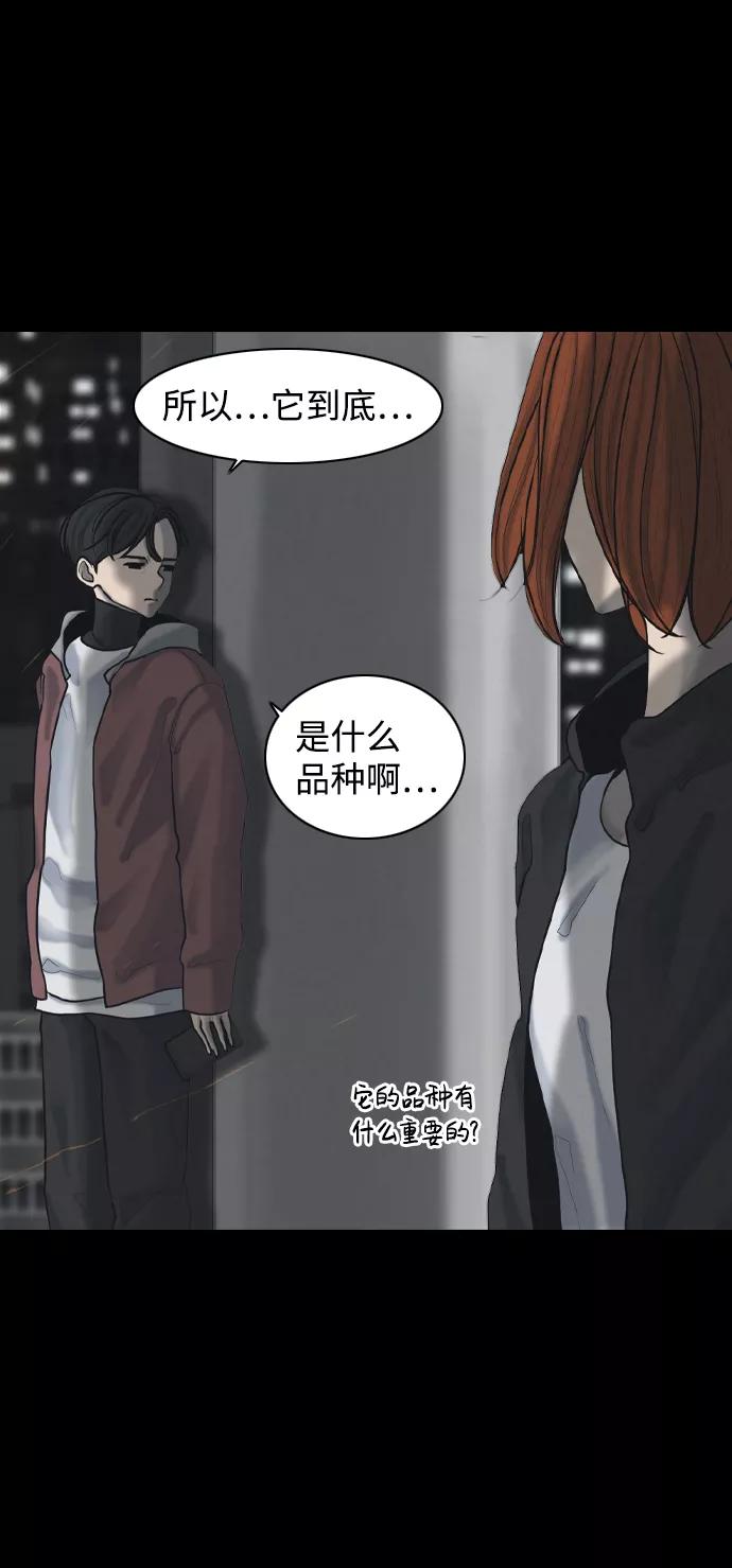 《默视的网红》第28话 第48页