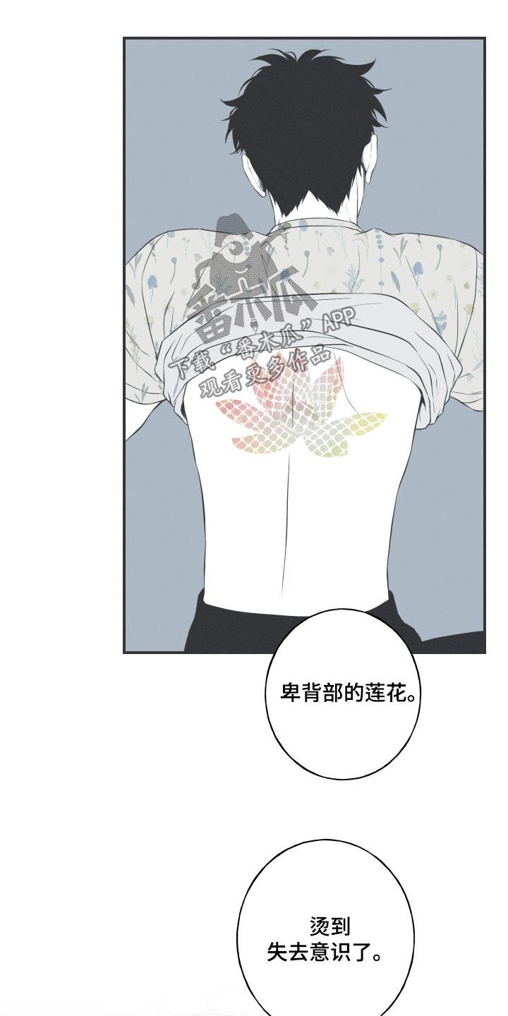《蛇环凶危》第86章：【第二季】记忆 第8页