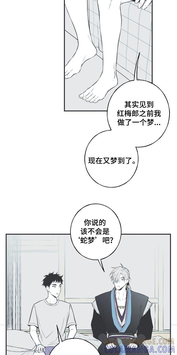 《蛇环凶危》第86章：【第二季】记忆 第11页