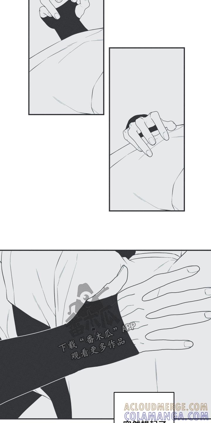 《蛇环凶危》第89章：【第二季完结】反应 第15页