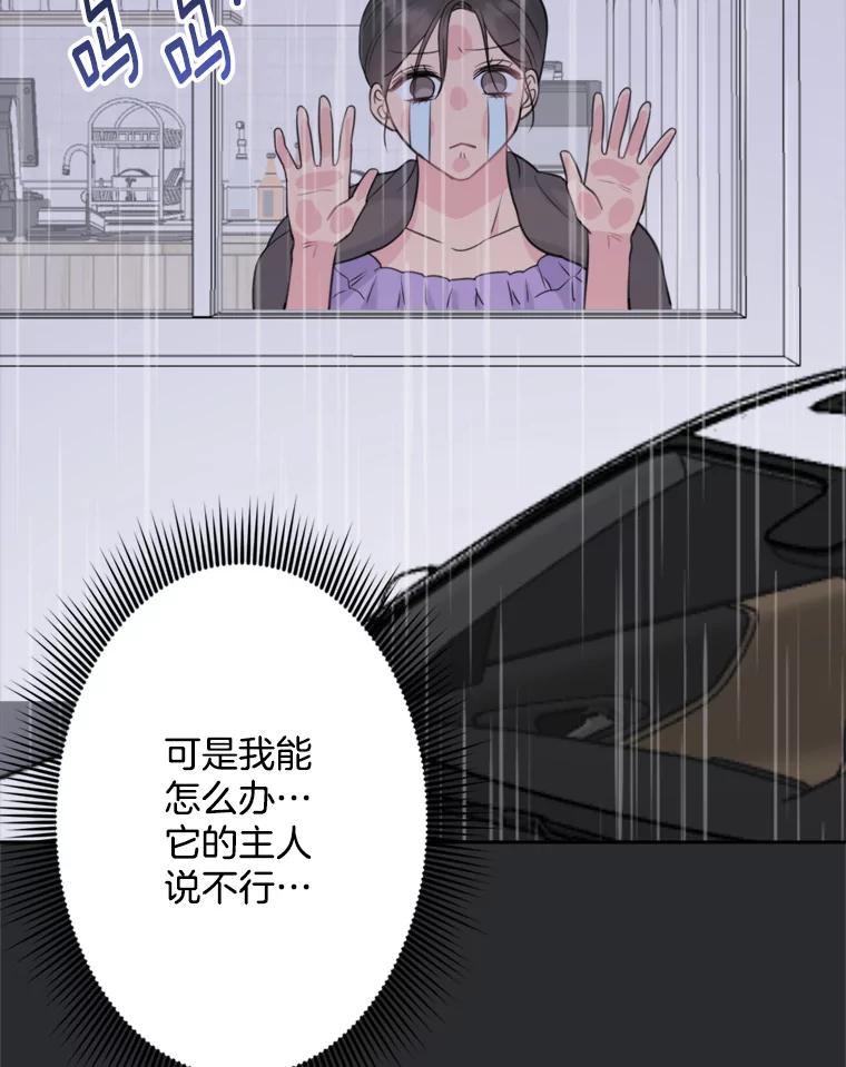 《奇怪的邻居》13.瑞恩惹祸了 第17页