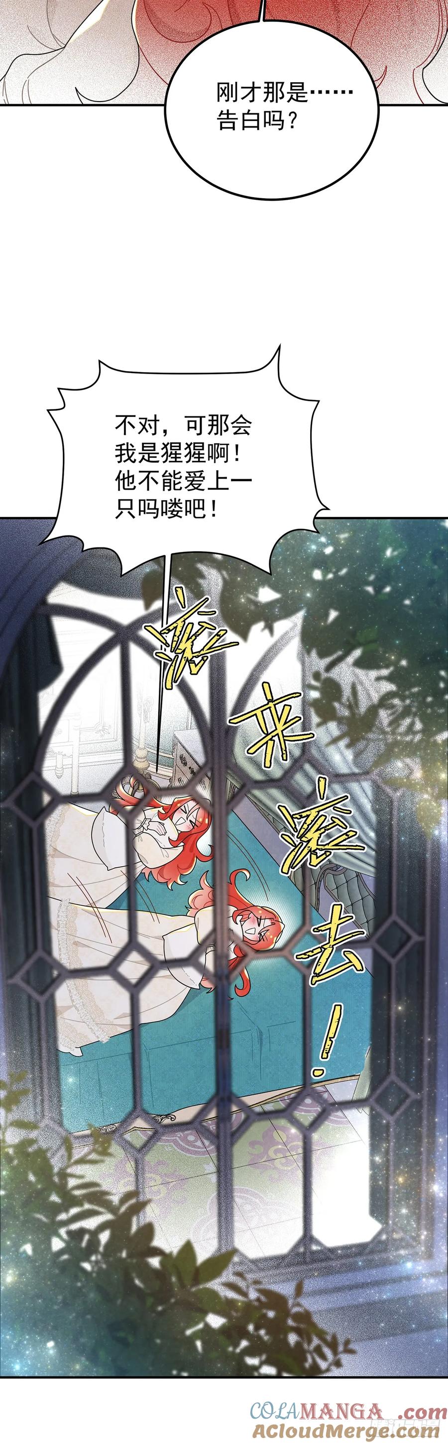 《奇迹冷冷》秃毛的狂怒！ 第23页