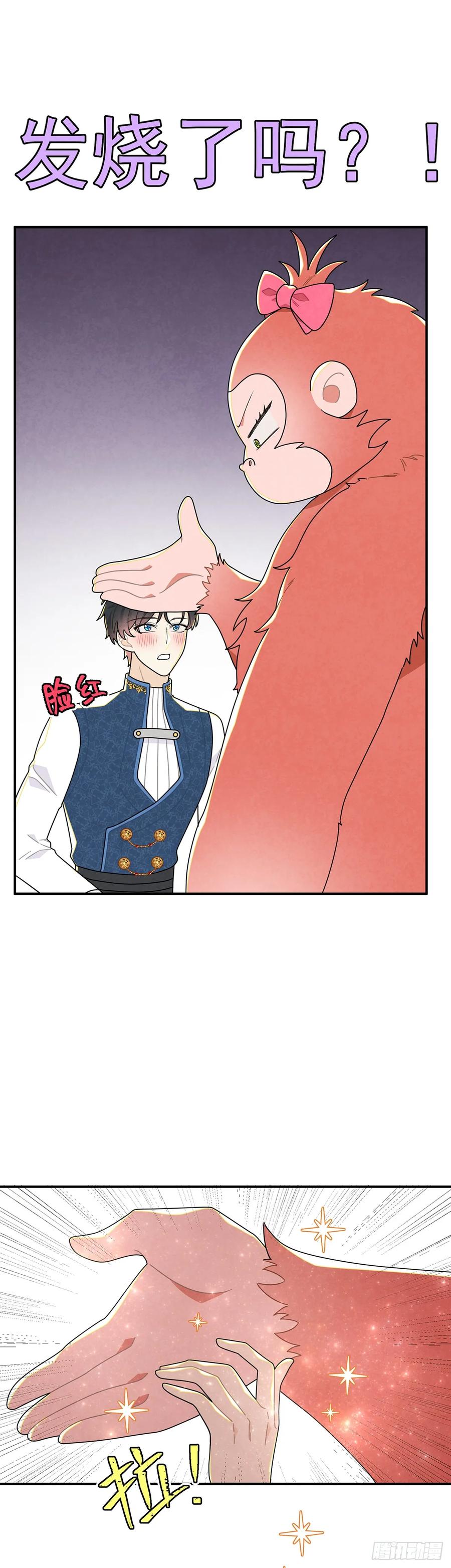 《奇迹冷冷》秃毛的狂怒！ 第8页