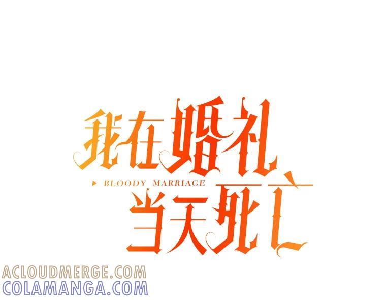 《我在婚礼当天死亡》84.再次遇害 第16页