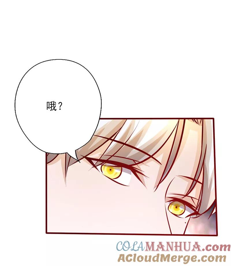 《追夫36计：老公，来战！》第203话 没有节操 第2页