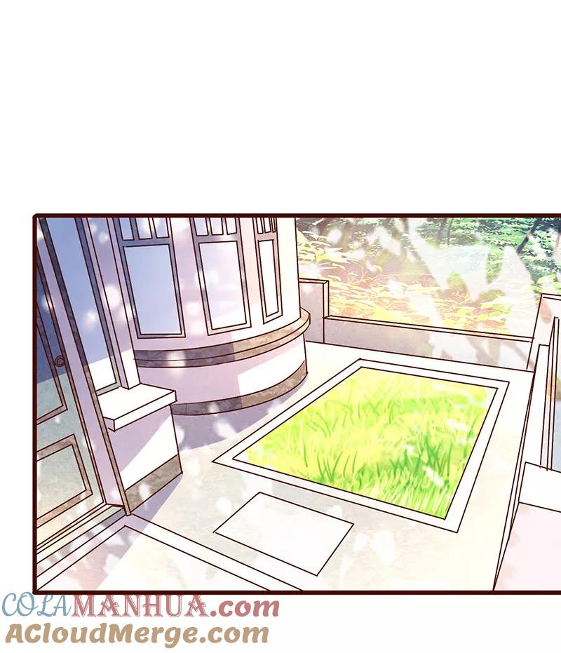 《追夫36计：老公，来战！》第252话 我做你的骑士 第5页