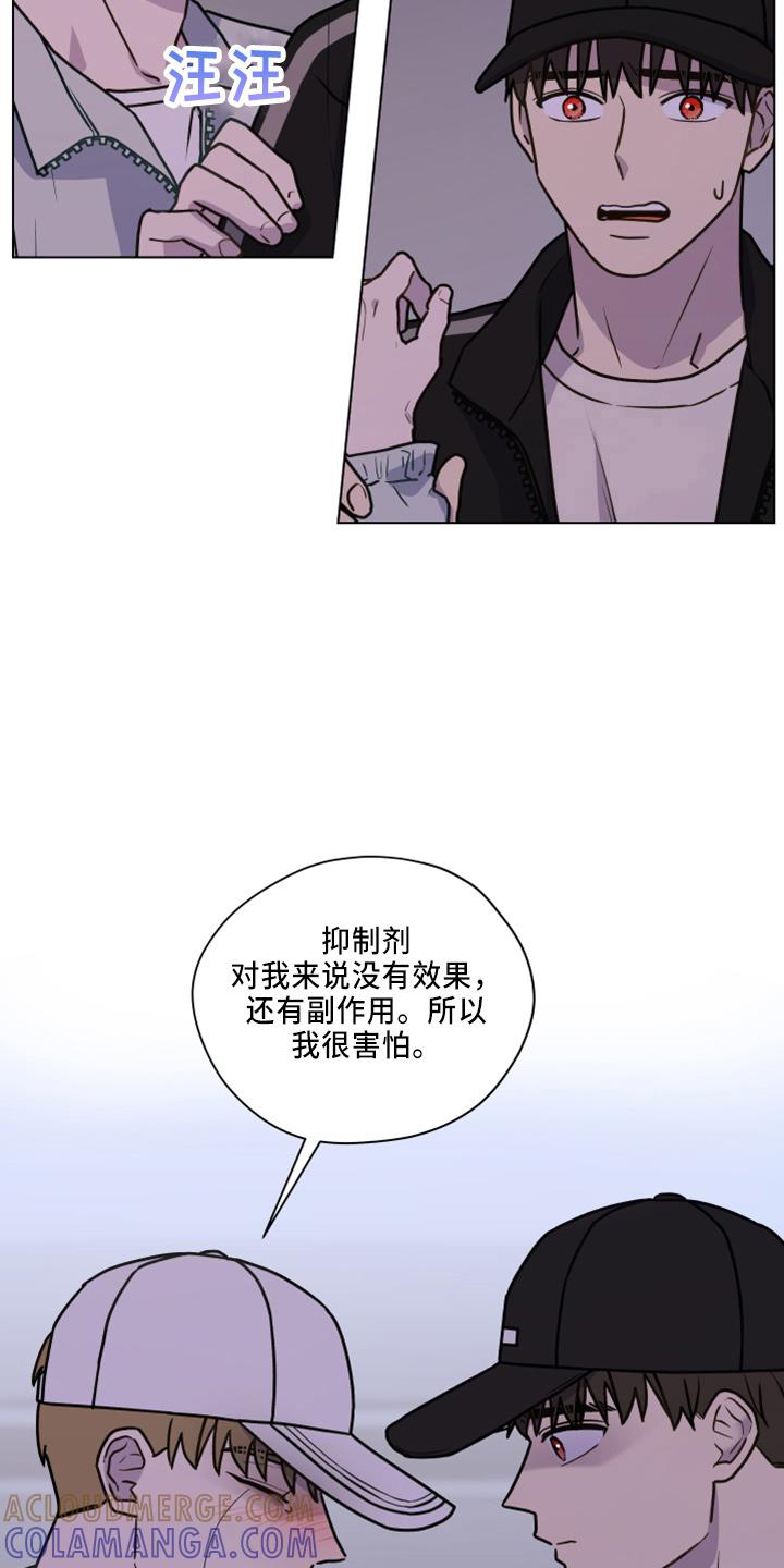 《亲密友人》第116章：【第二季】不要躲我 第5页