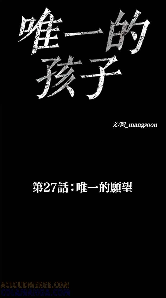 《唯一的孩子》第27话 唯一的愿望 第17页