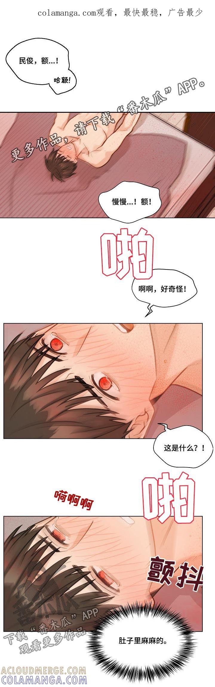 《亲密友人》第37章：对我有意思？ 第1页