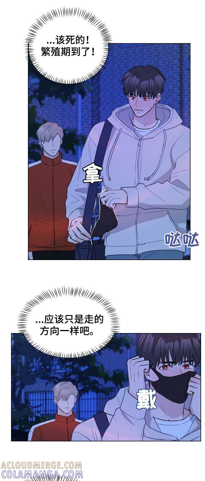《亲密友人》第59章：跟踪 第17页