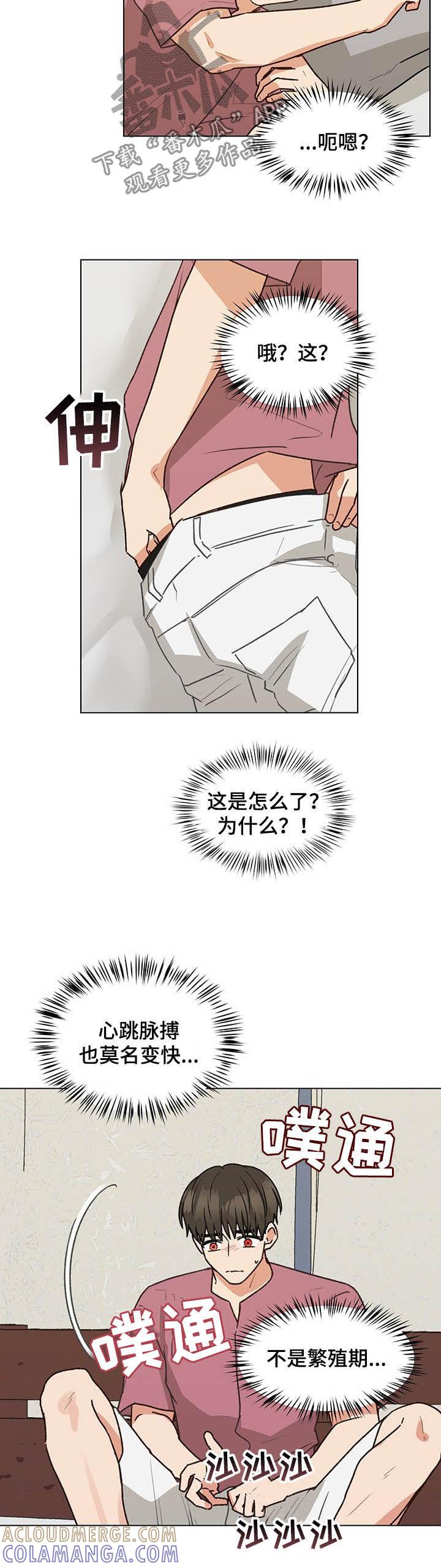 《亲密友人》第75章：听你的 第6页