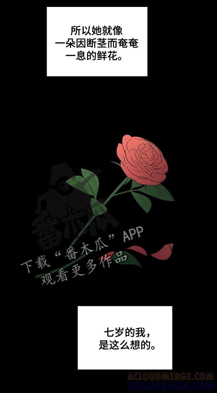 《模糊的边缘》第88章：【第二季】奄奄一息的鲜花 第17页