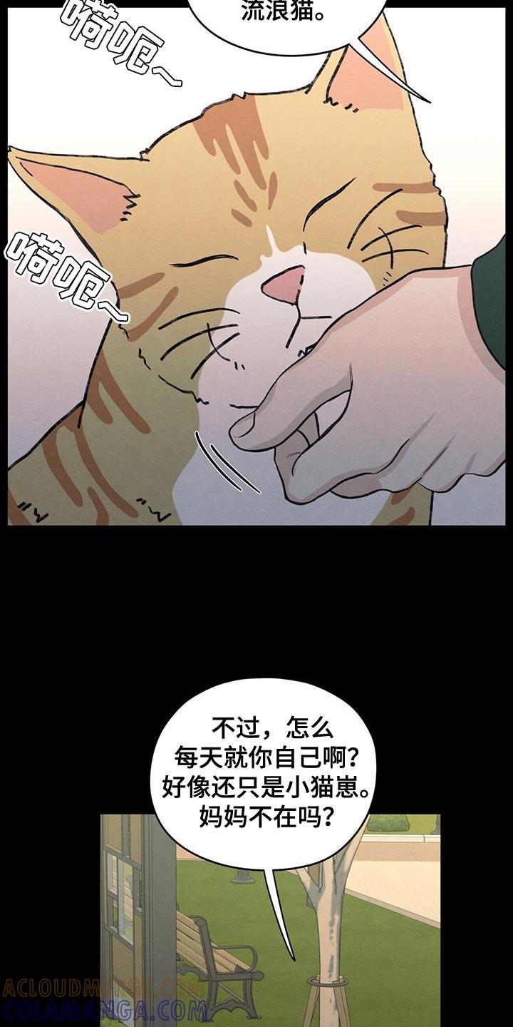 《模糊的边缘》第89章：【第二季】最后一次警告 第3页