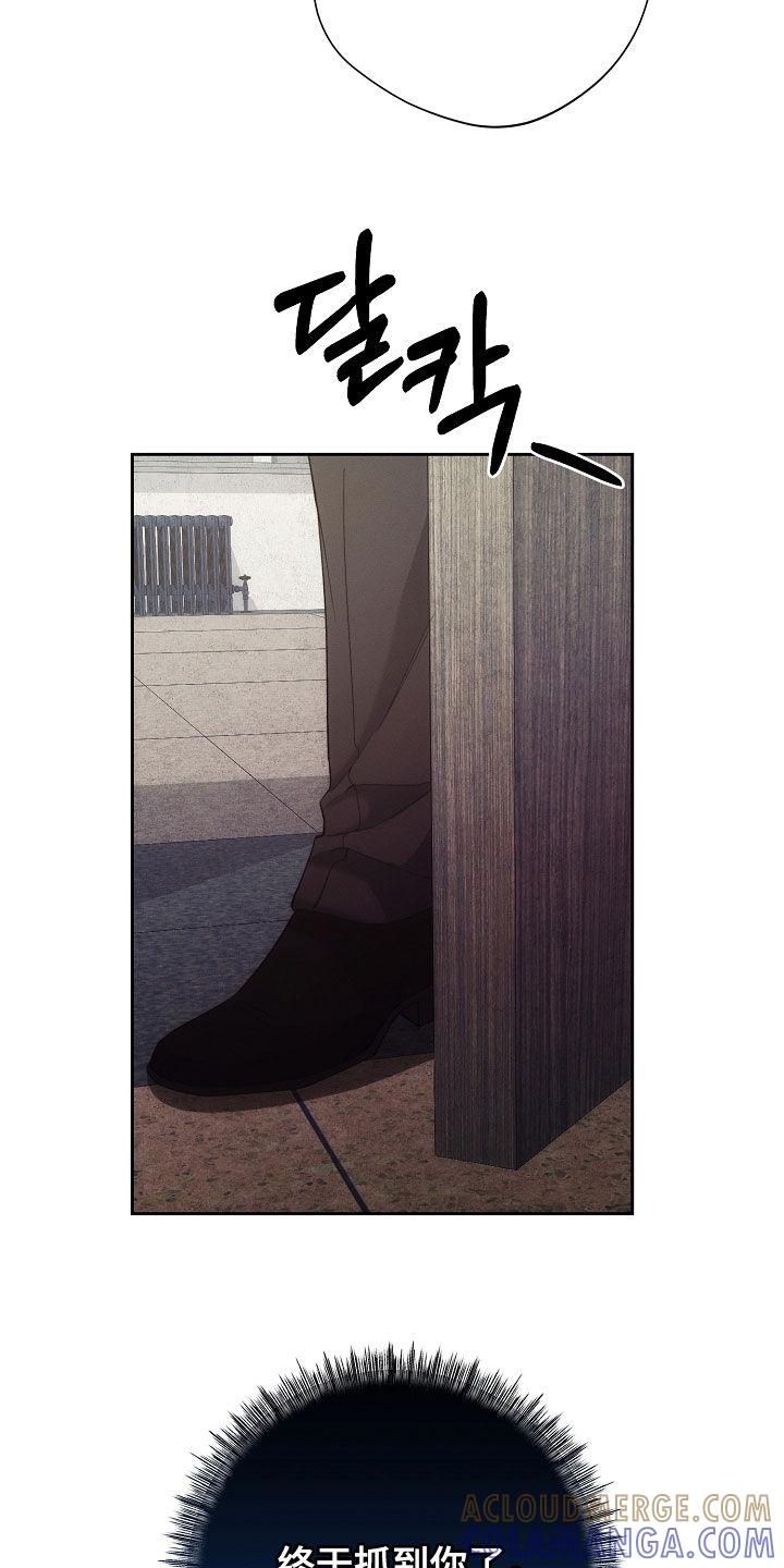 《血色公寓》第102章：报复 第5页
