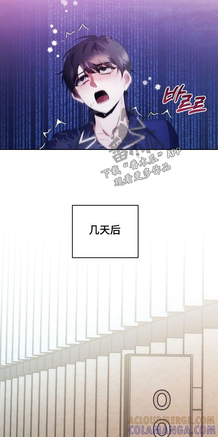《血色公寓》第107章：全都记得（完结） 第13页
