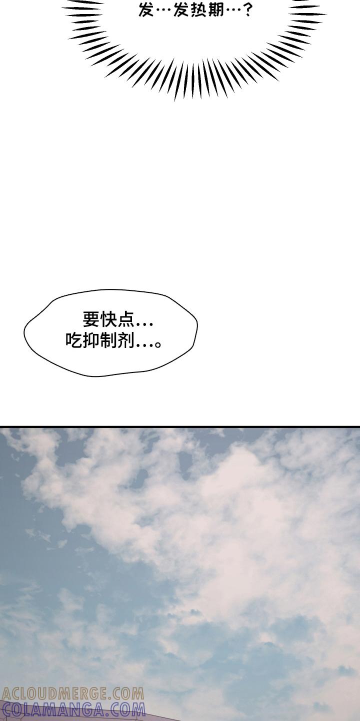 《记忆的慢反射》第13章：信息素 第13页