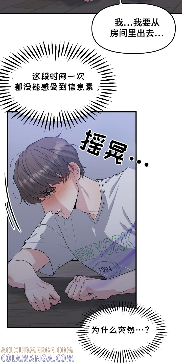 《记忆的慢反射》第13章：信息素 第11页