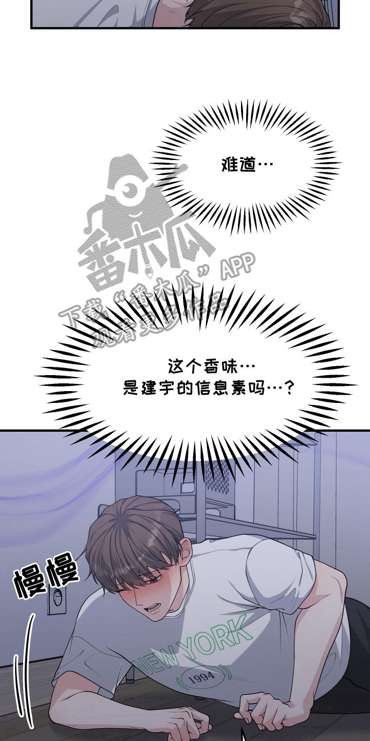 《记忆的慢反射》第13章：信息素 第10页