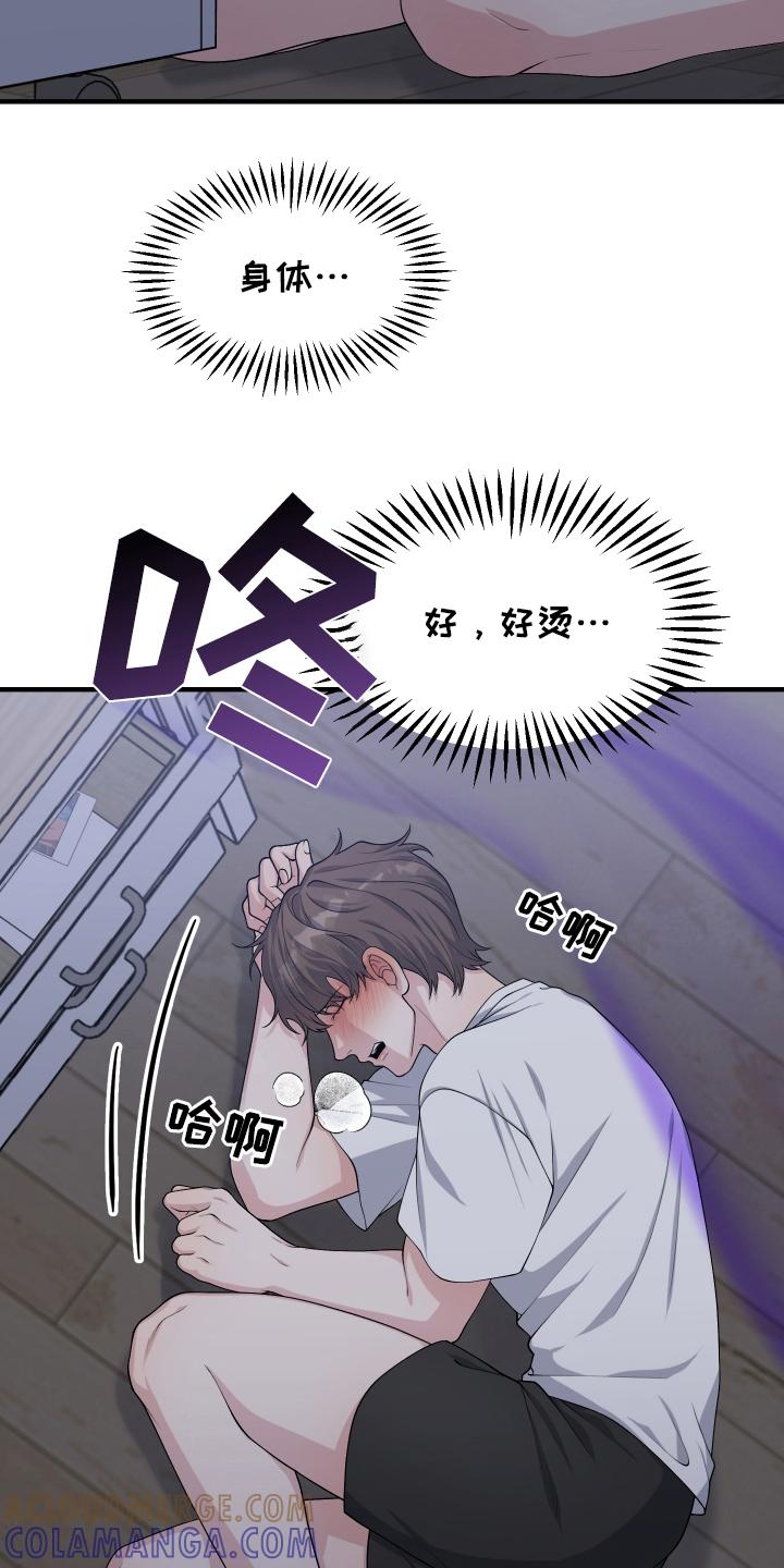 《记忆的慢反射》第13章：信息素 第7页