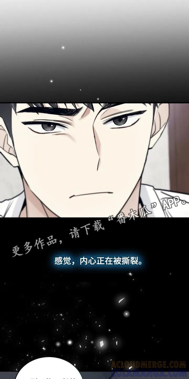 《追逐繁星》第15章：撕裂的内心 第5页