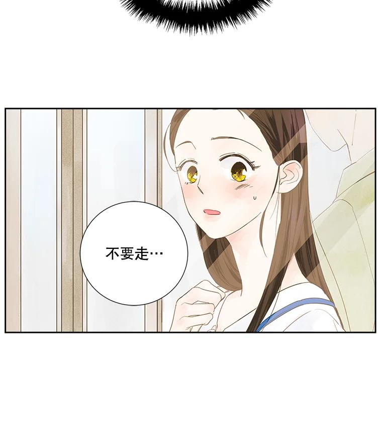 《追逐光的爱恋》2.奇妙的缘分 第17页