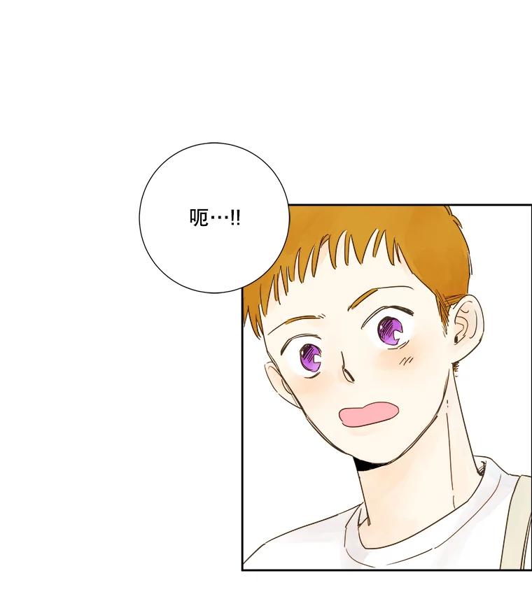 《追逐光的爱恋》2.奇妙的缘分 第54页
