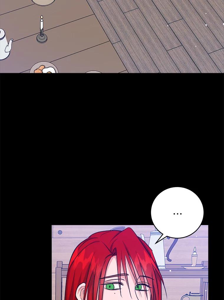 《怕冷的北部大公》45.启程 第20页