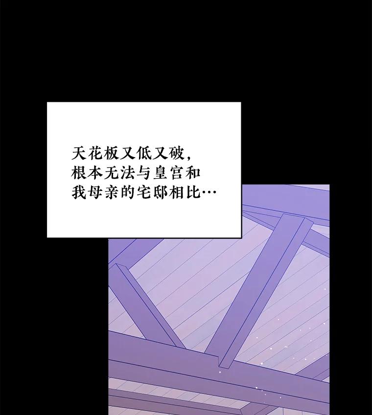 《怕冷的北部大公》45.启程 第8页