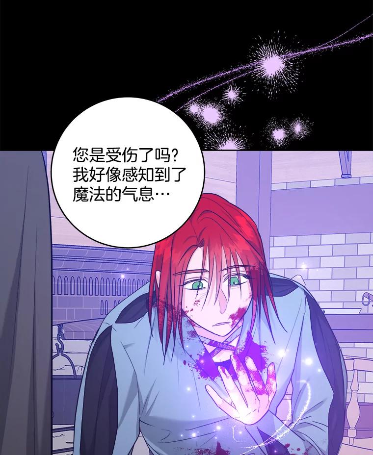 《怕冷的北部大公》45.启程 第40页