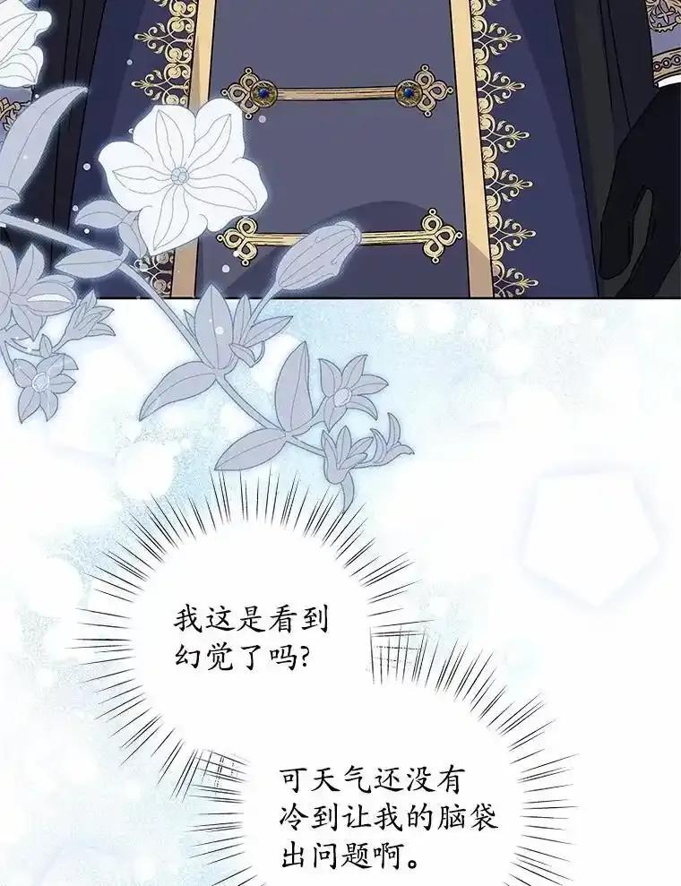 《吞噬太阳的花》69.神界之门 第98页