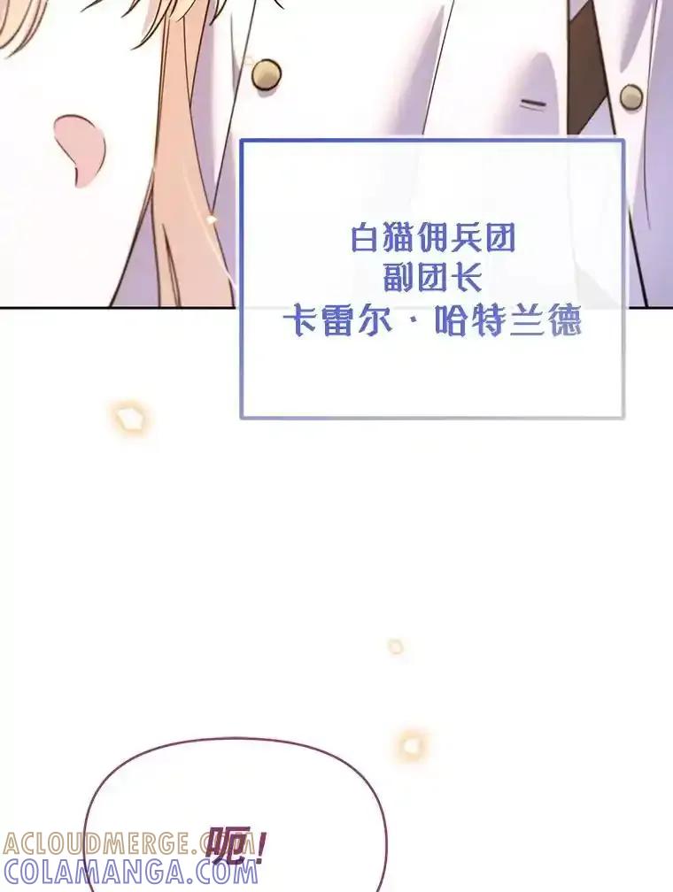 《林德尔又出什么事了？》80.白猫佣兵团 第53页