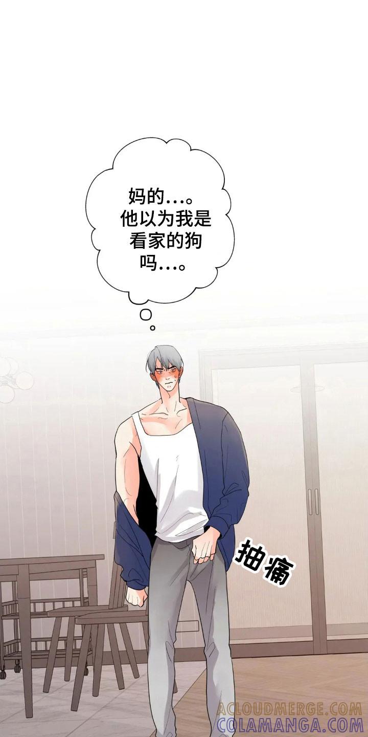 《邻居攻略》第173章：【第四季】好好看家 第17页