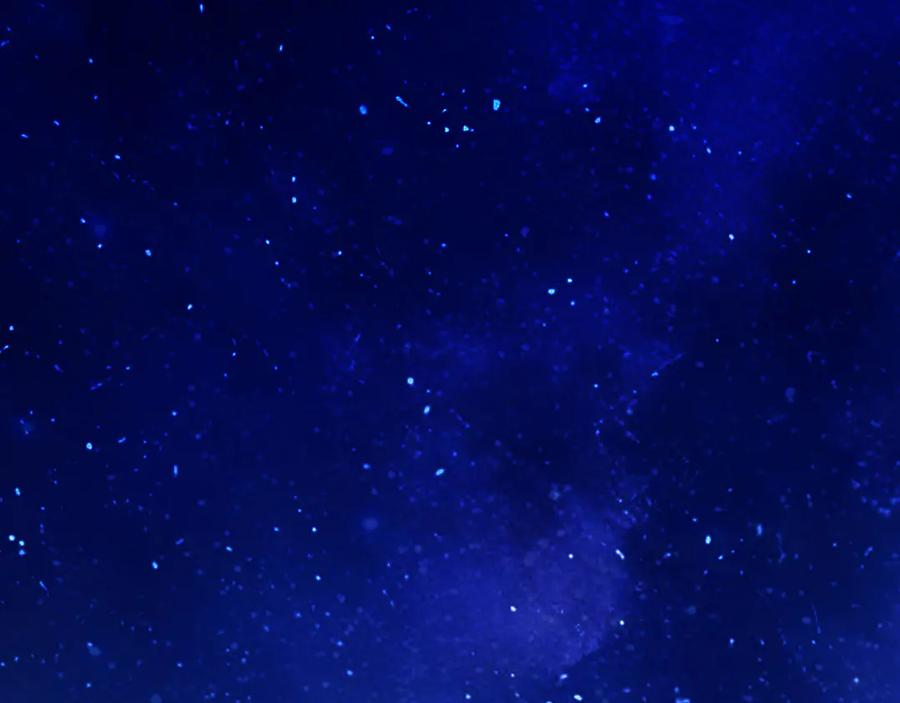 《错撩》第34话 星坠 第75页